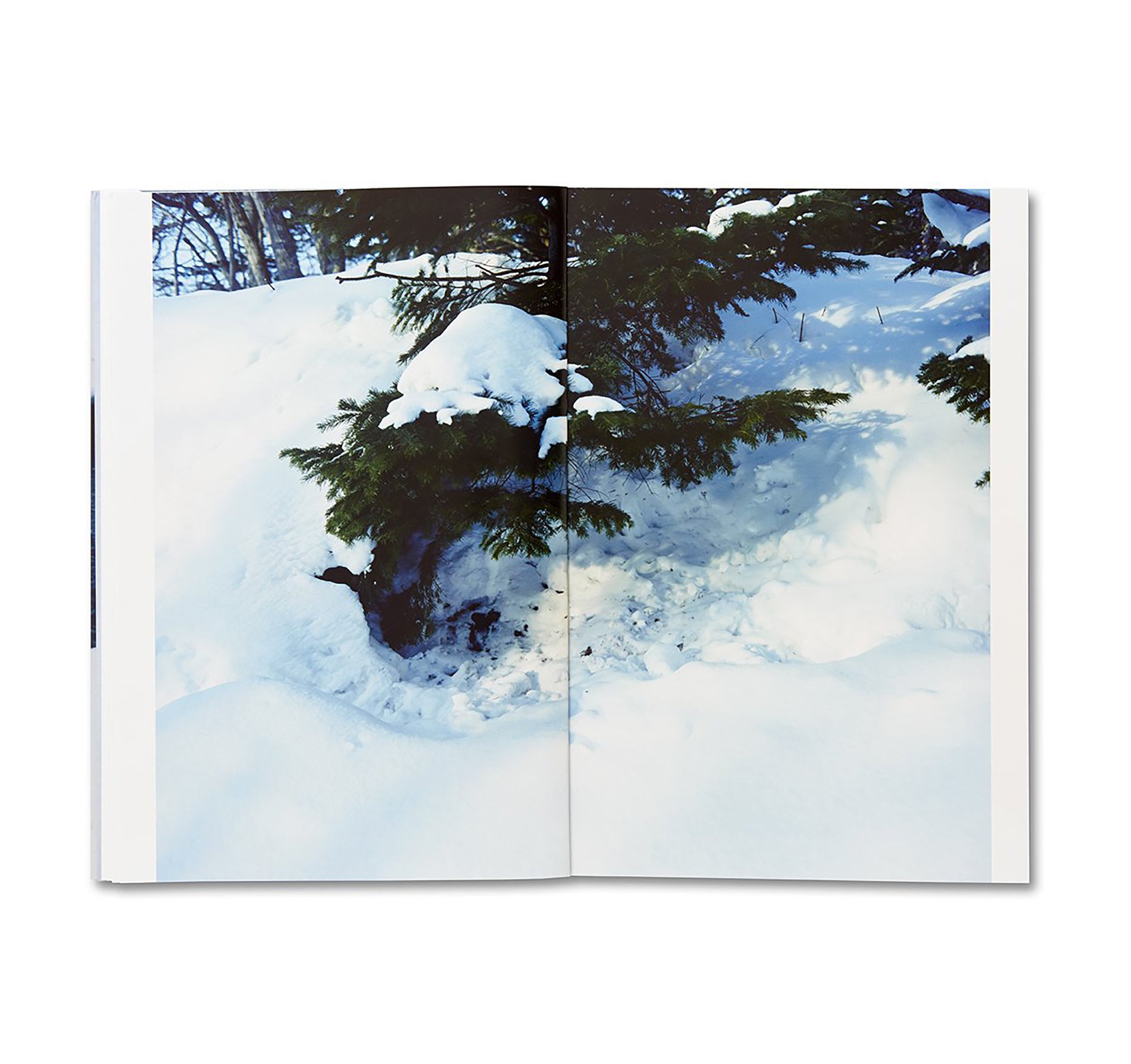 TRAILS by Takashi Homma [SIGNED]