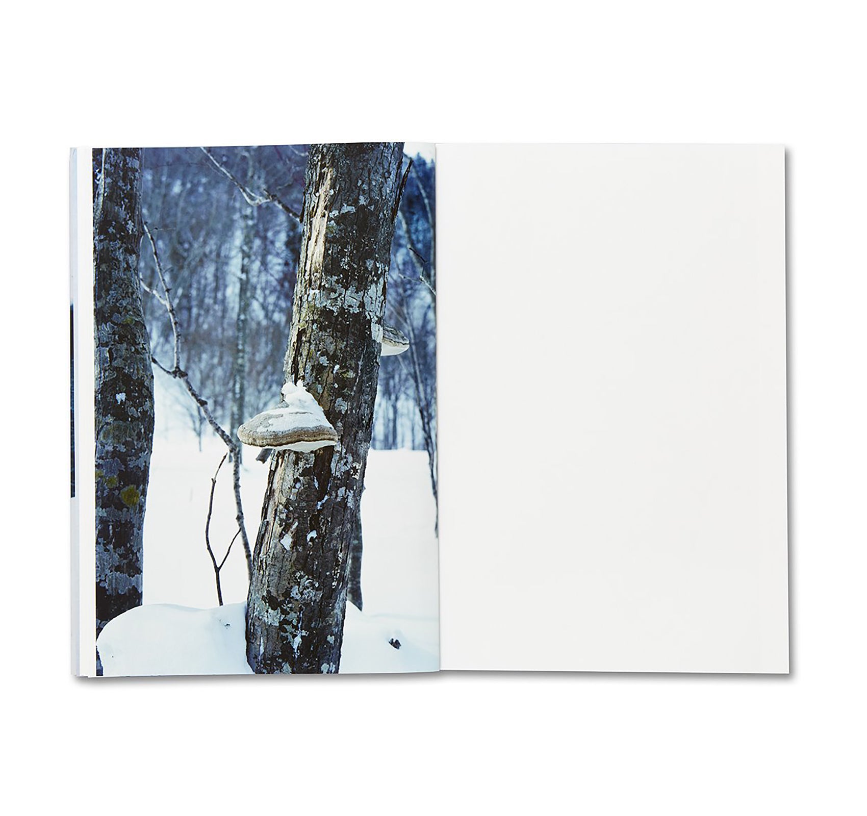 TRAILS by Takashi Homma [SIGNED]