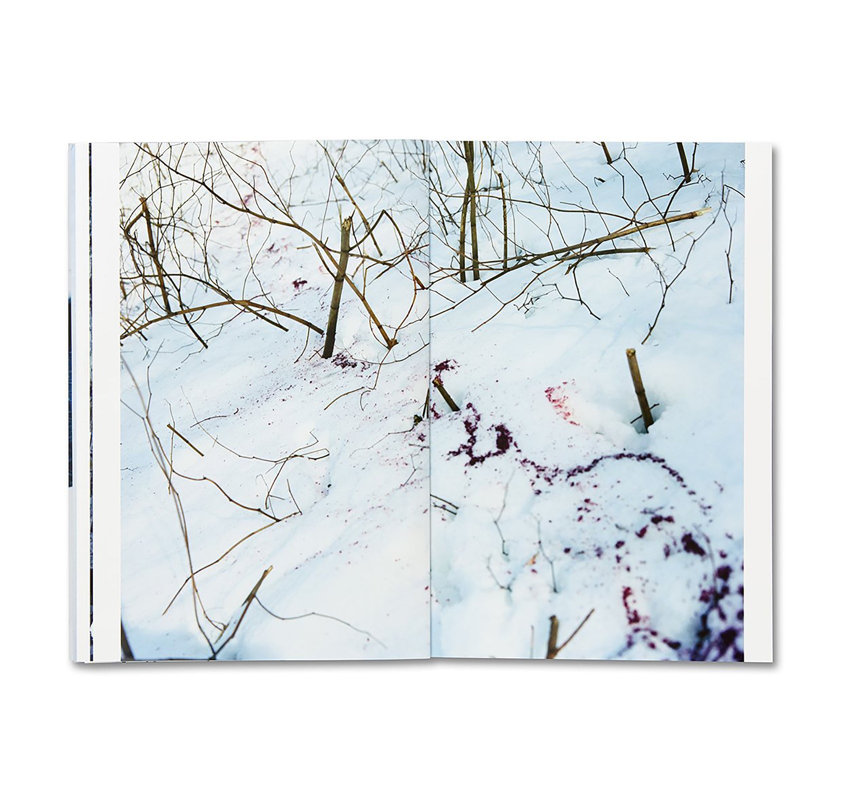 TRAILS by Takashi Homma [SIGNED]