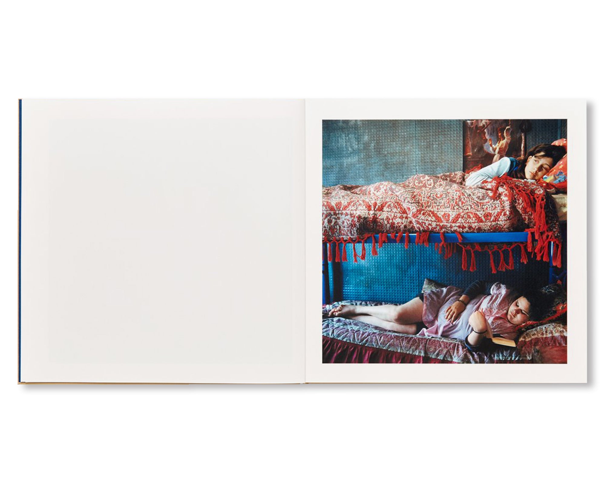 THE ADVENTURES OF GUILLE AND BELINDA AND THE ILLUSION OF AN EVERLASTING SUMMER by Alessandra Sanguinetti [SIGNED PLATE]