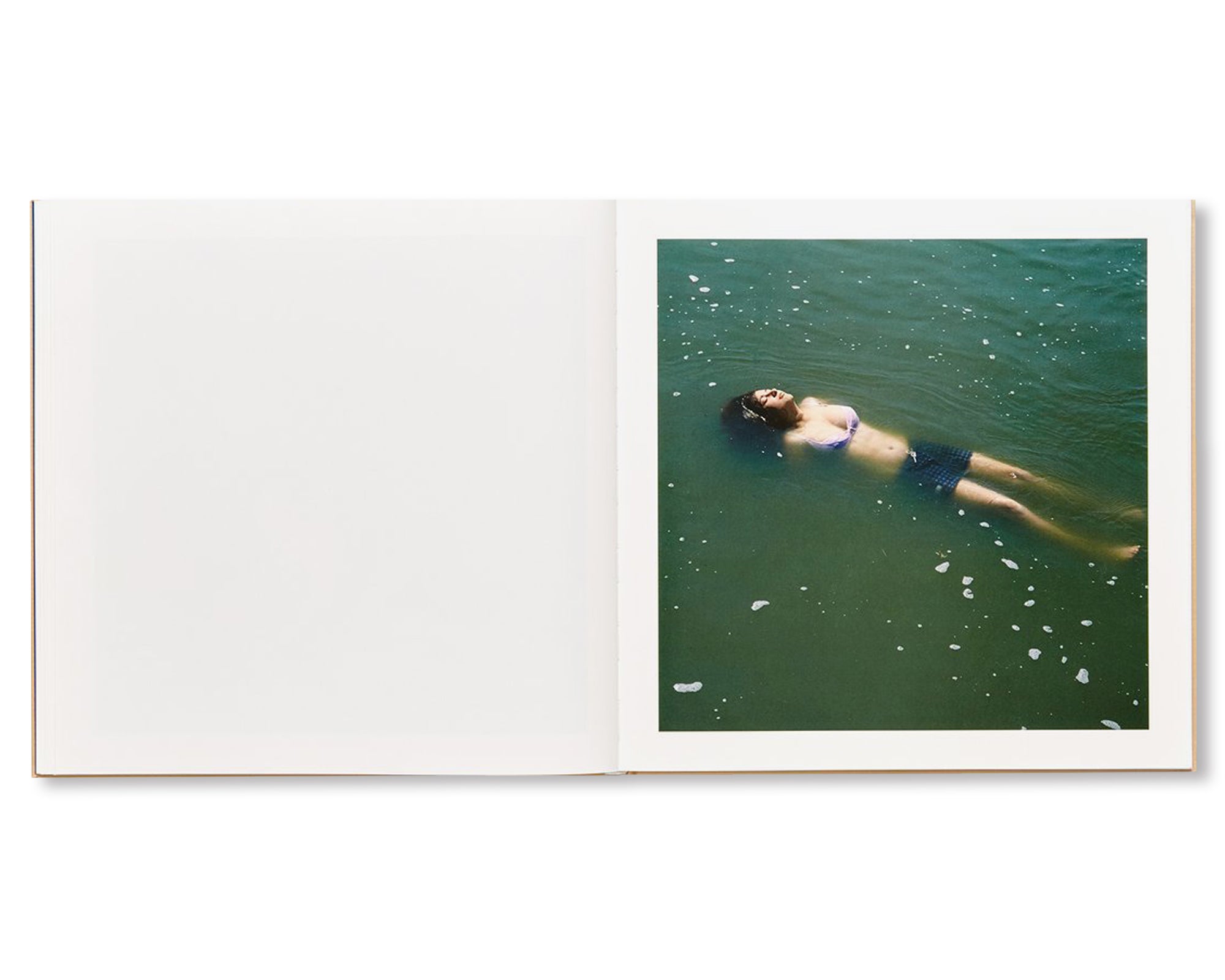 THE ADVENTURES OF GUILLE AND BELINDA AND THE ILLUSION OF AN EVERLASTING SUMMER by Alessandra Sanguinetti [SIGNED PLATE]