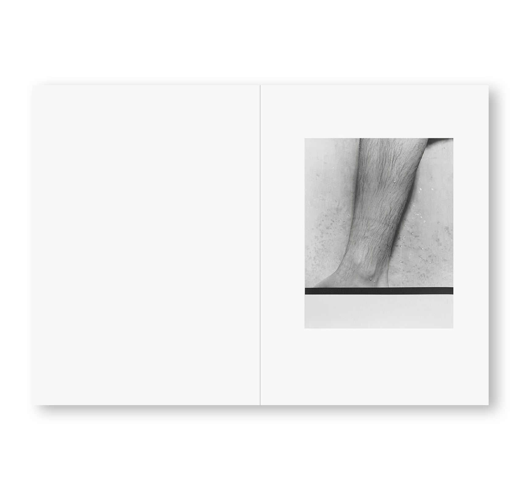 THE SHABBINESS OF BEAUTY by Moyra Davey & Peter Hujar