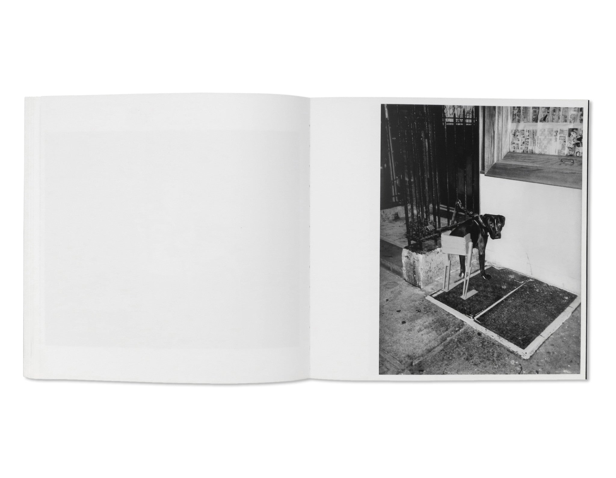 WRONG by Asger Carlsen [SIGNED]