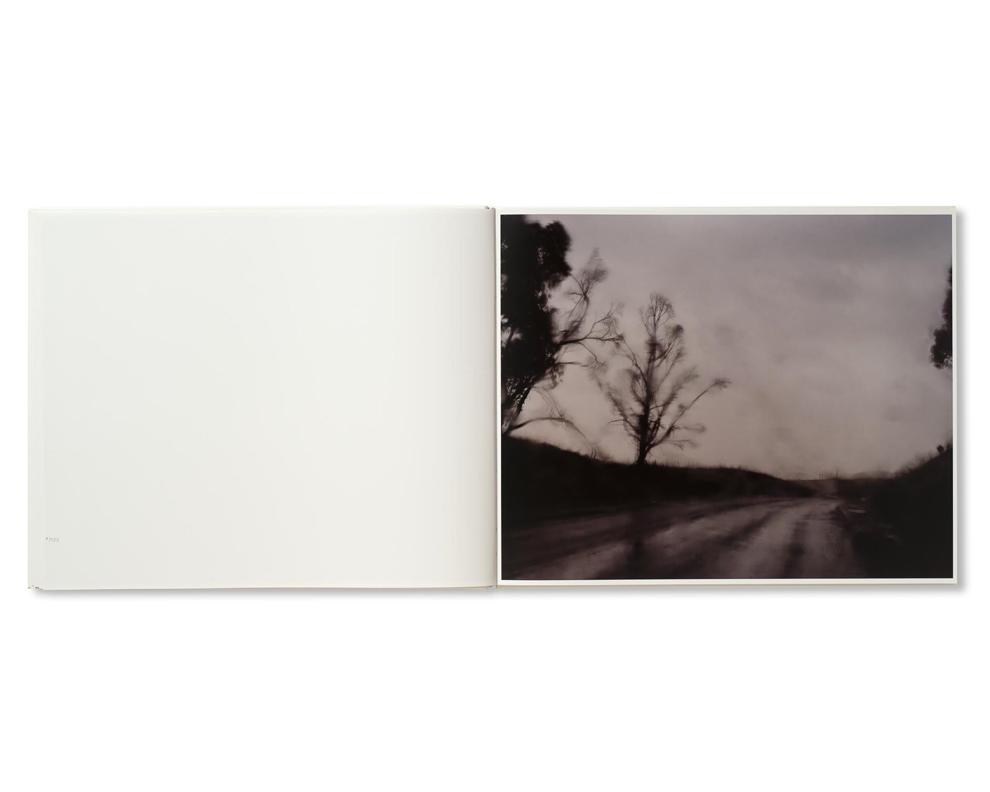 A ROAD DIVIDED by Todd Hido [SIGNED]