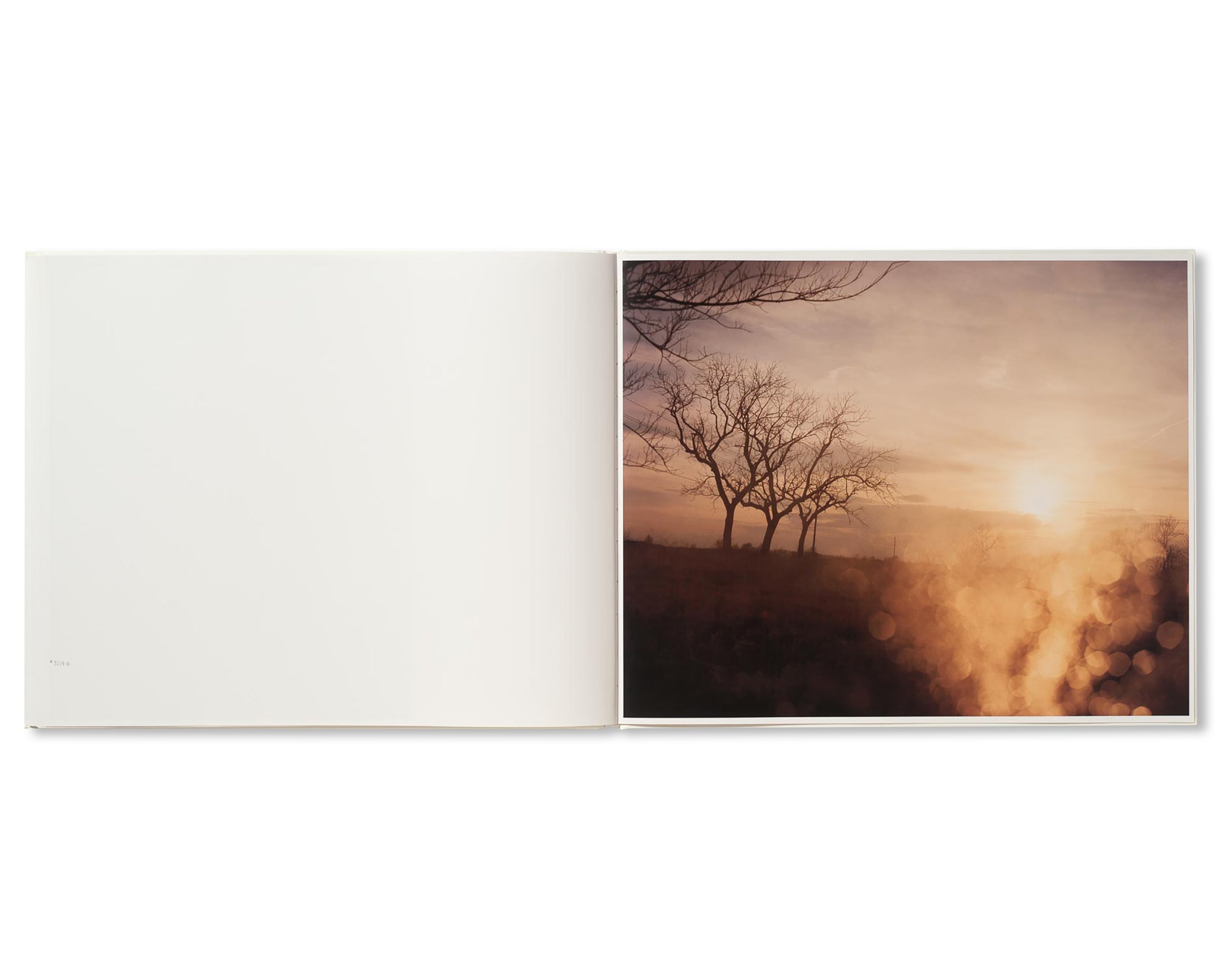 A ROAD DIVIDED by Todd Hido [SIGNED]