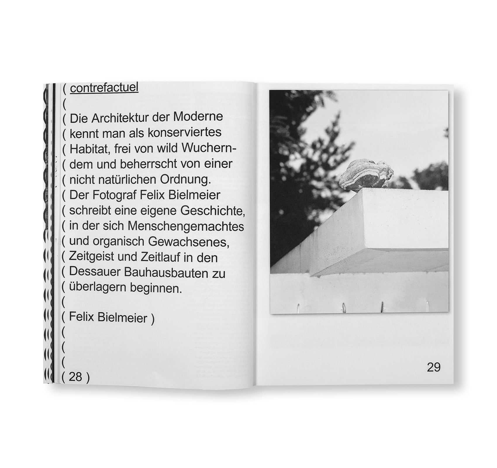 HABITAT- BAUHAUS 12. The Bauhaus Dessau Foundation's Magazine by Stiftung Bauhaus Dessau