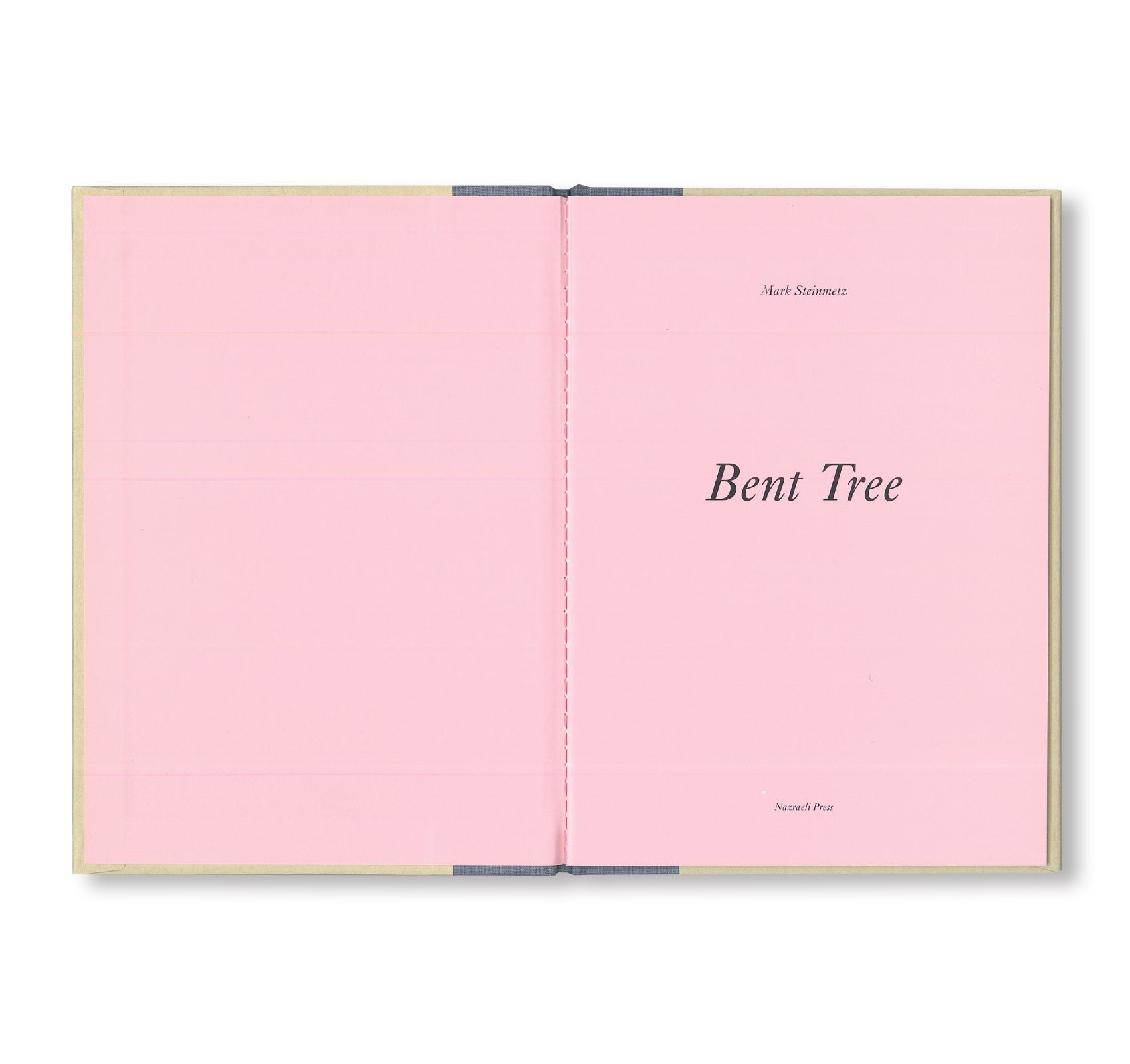 ONE PICTURE BOOK TWO #32: BENT TREE by Mark Steinmetz [SPECIAL EDITION]