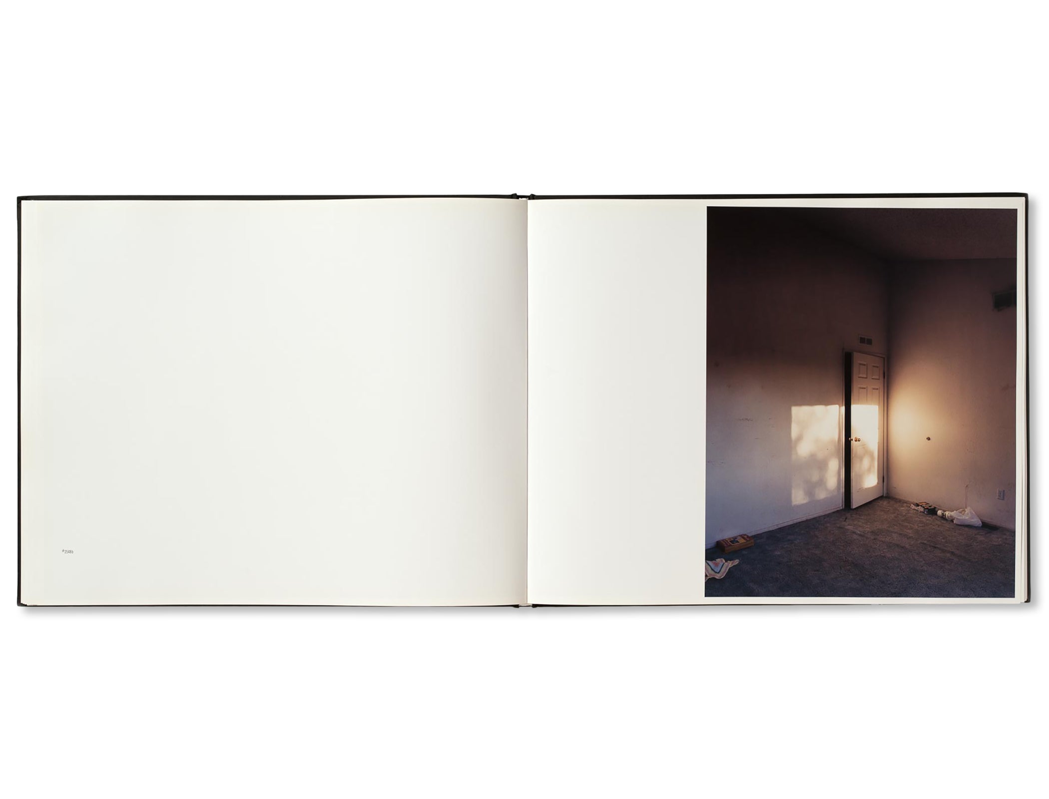 BETWEEN THE TWO by Todd Hido [FIRST EDITION]