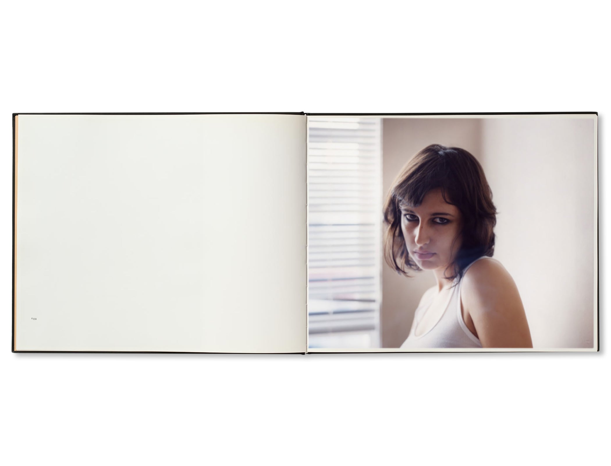 BETWEEN THE TWO by Todd Hido [FIRST EDITION]