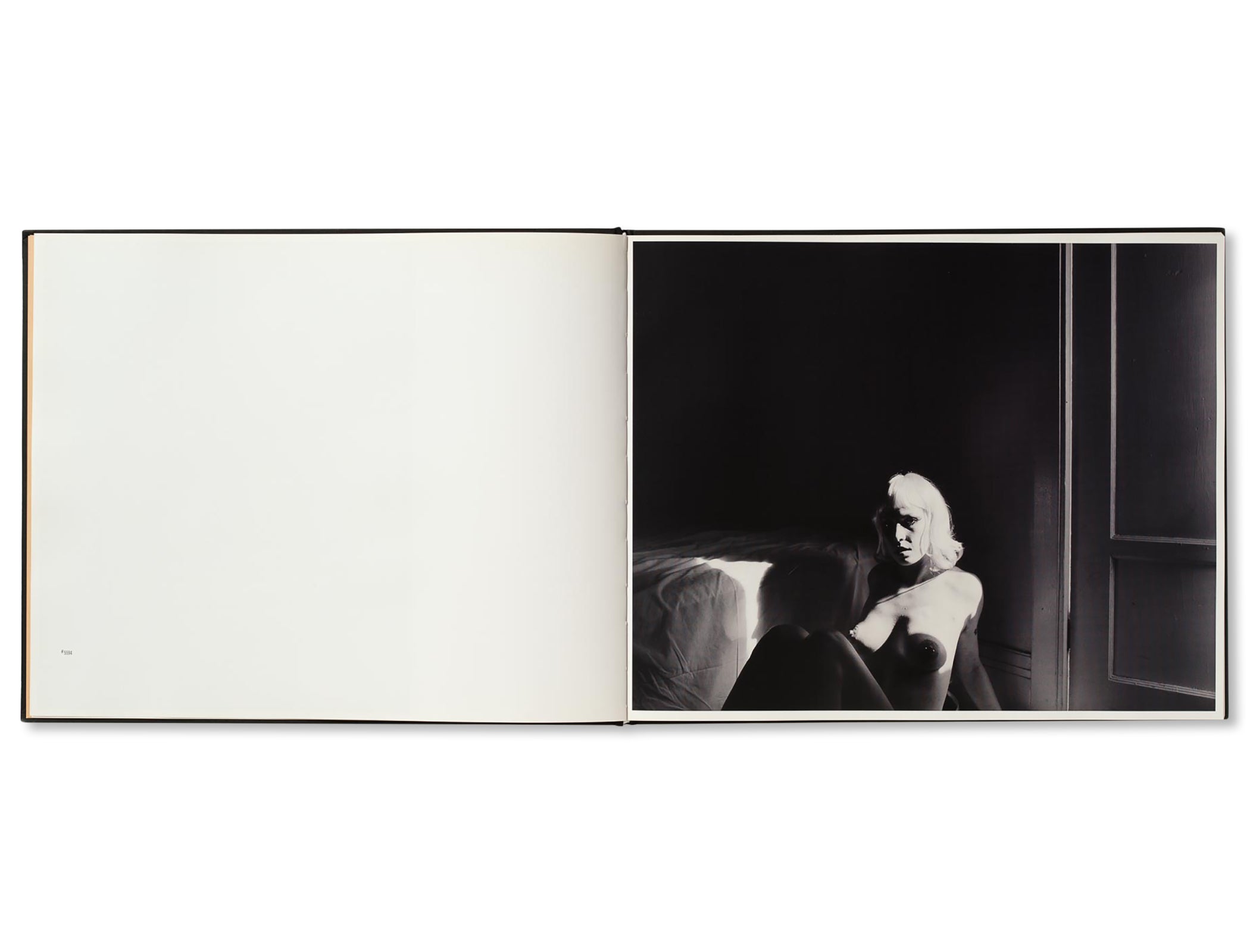 BETWEEN THE TWO by Todd Hido [FIRST EDITION]