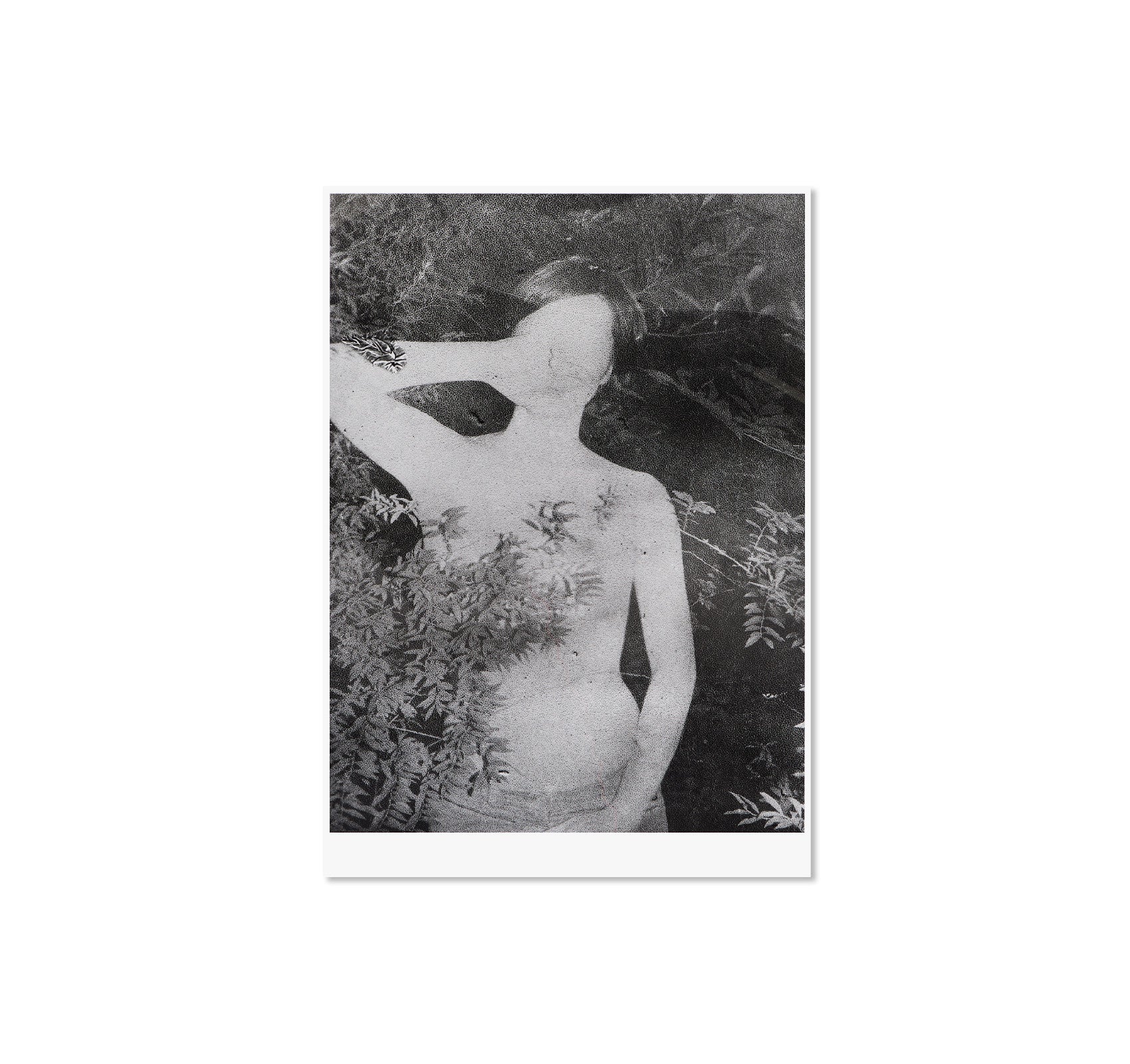 UNTITLED, 2014 by Daisuke Yokota [EXCLUSIVE]