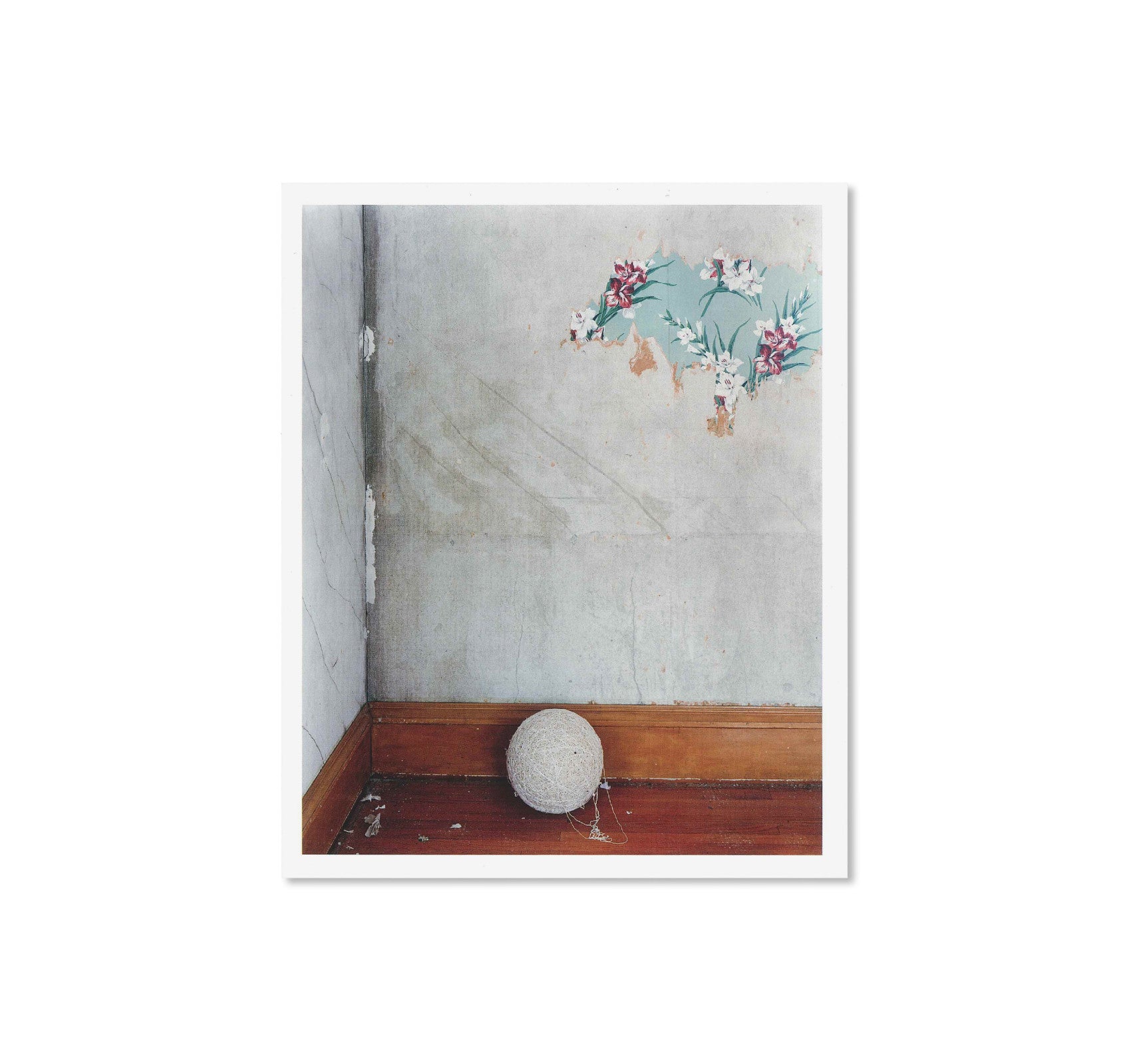 GATHERED LEAVES POSTCARDS by Alec Soth