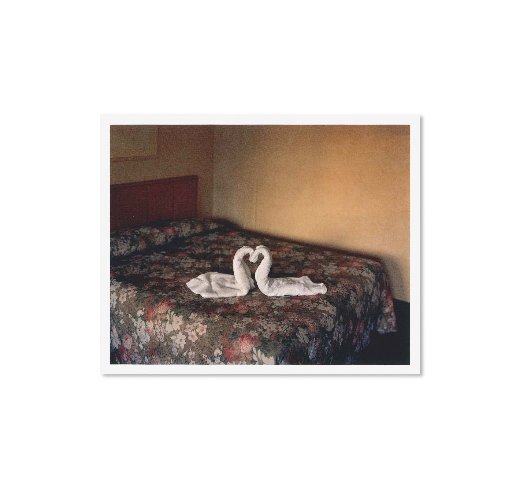 GATHERED LEAVES POSTCARDS by Alec Soth