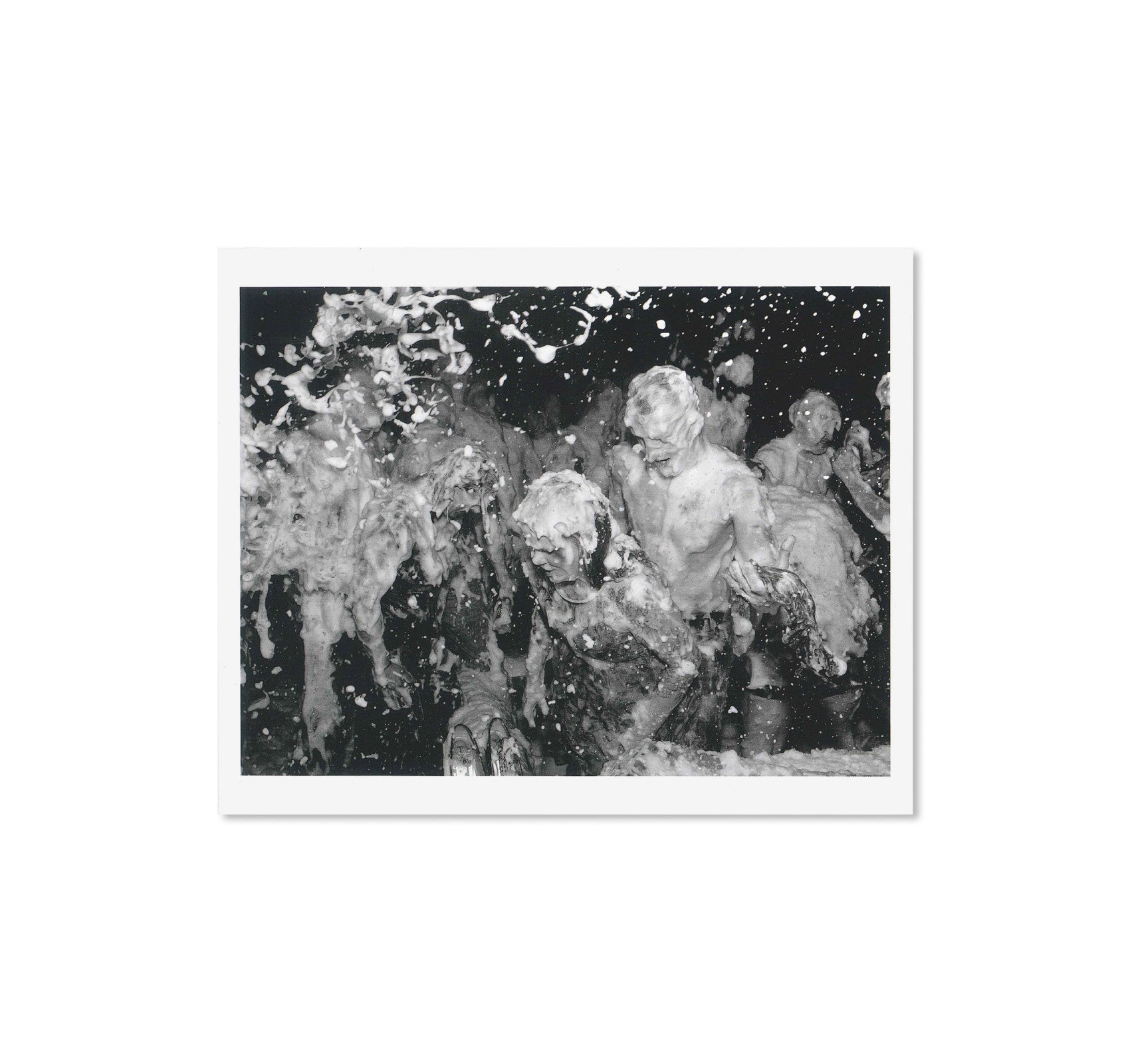 GATHERED LEAVES POSTCARDS by Alec Soth