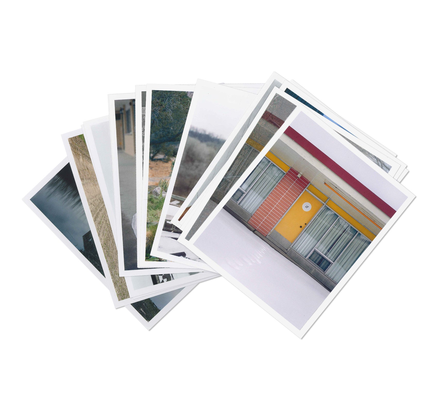 GATHERED LEAVES POSTCARDS by Alec Soth