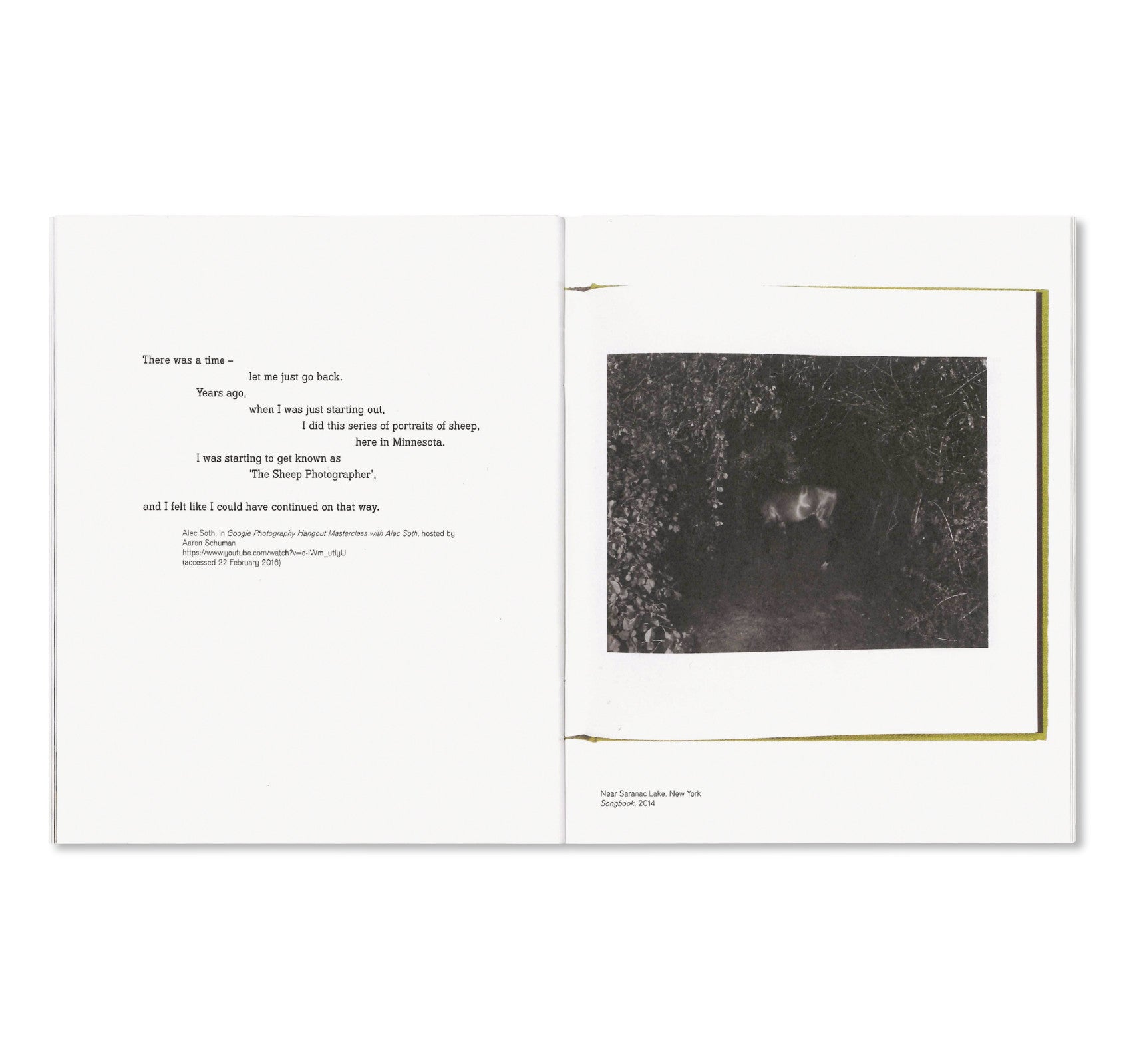 GATHERED LEAVES POSTCARDS by Alec Soth