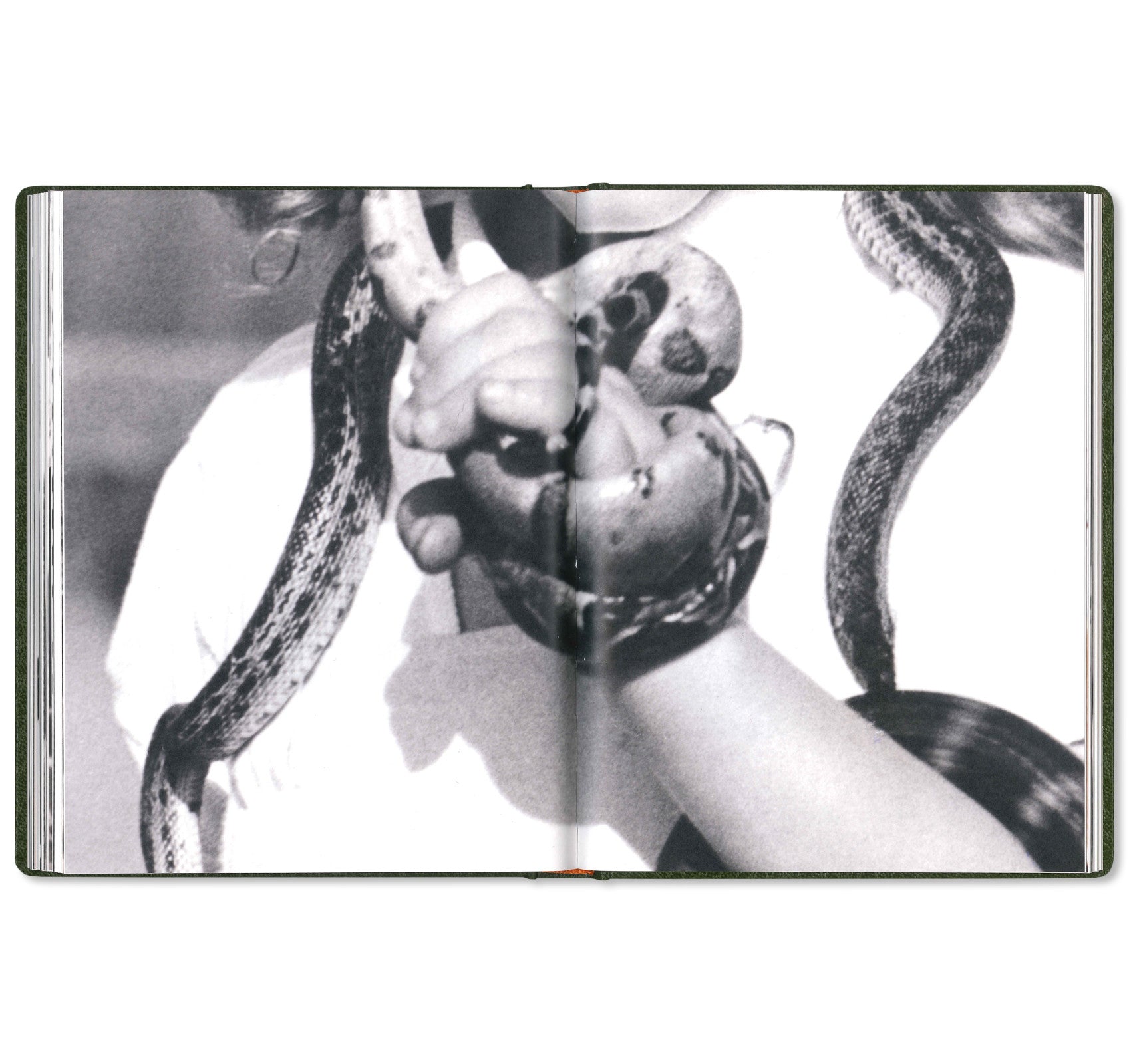 GIRL PLAYS WITH SNAKE by Clare Strand