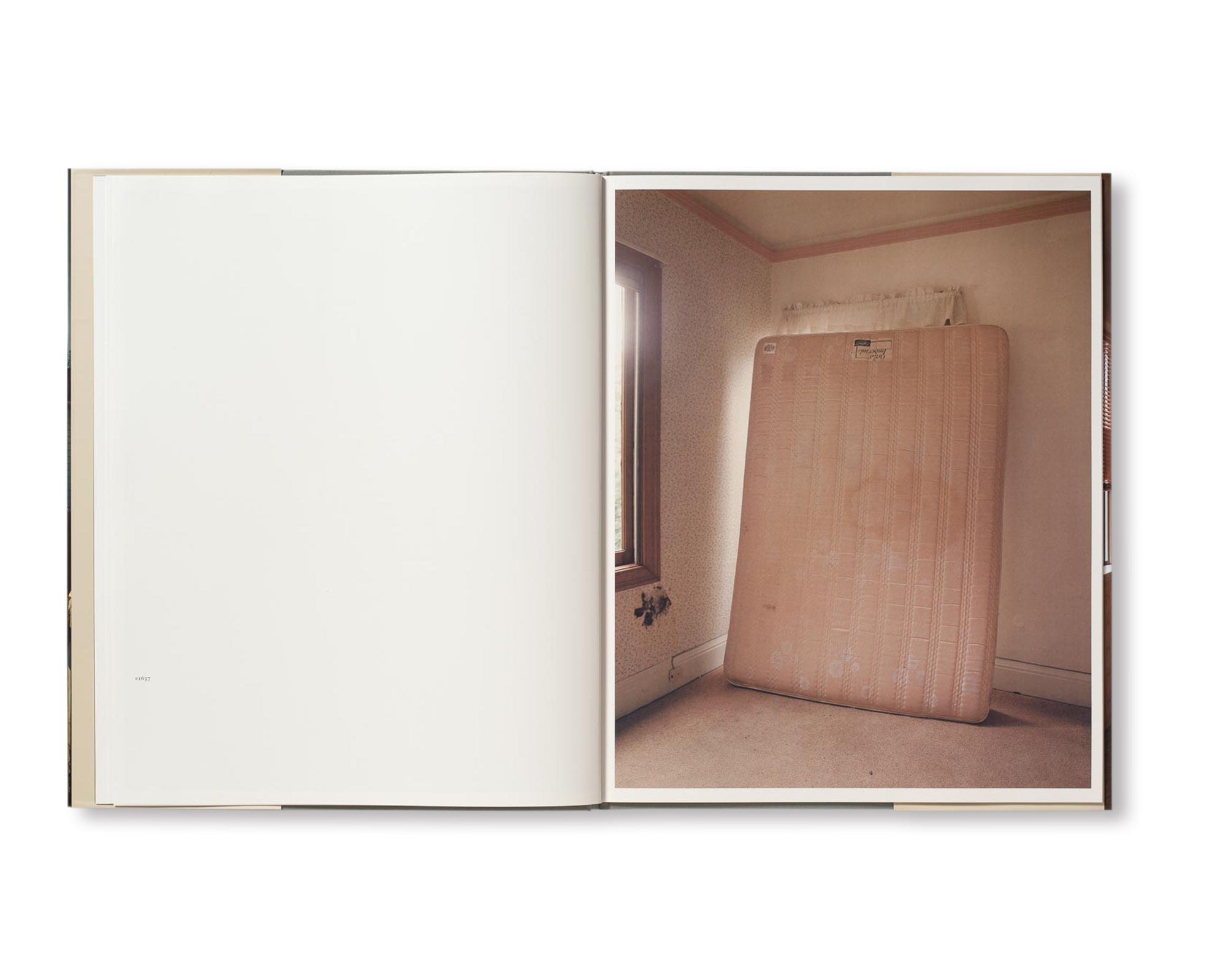 HOUSE HUNTING by Todd Hido