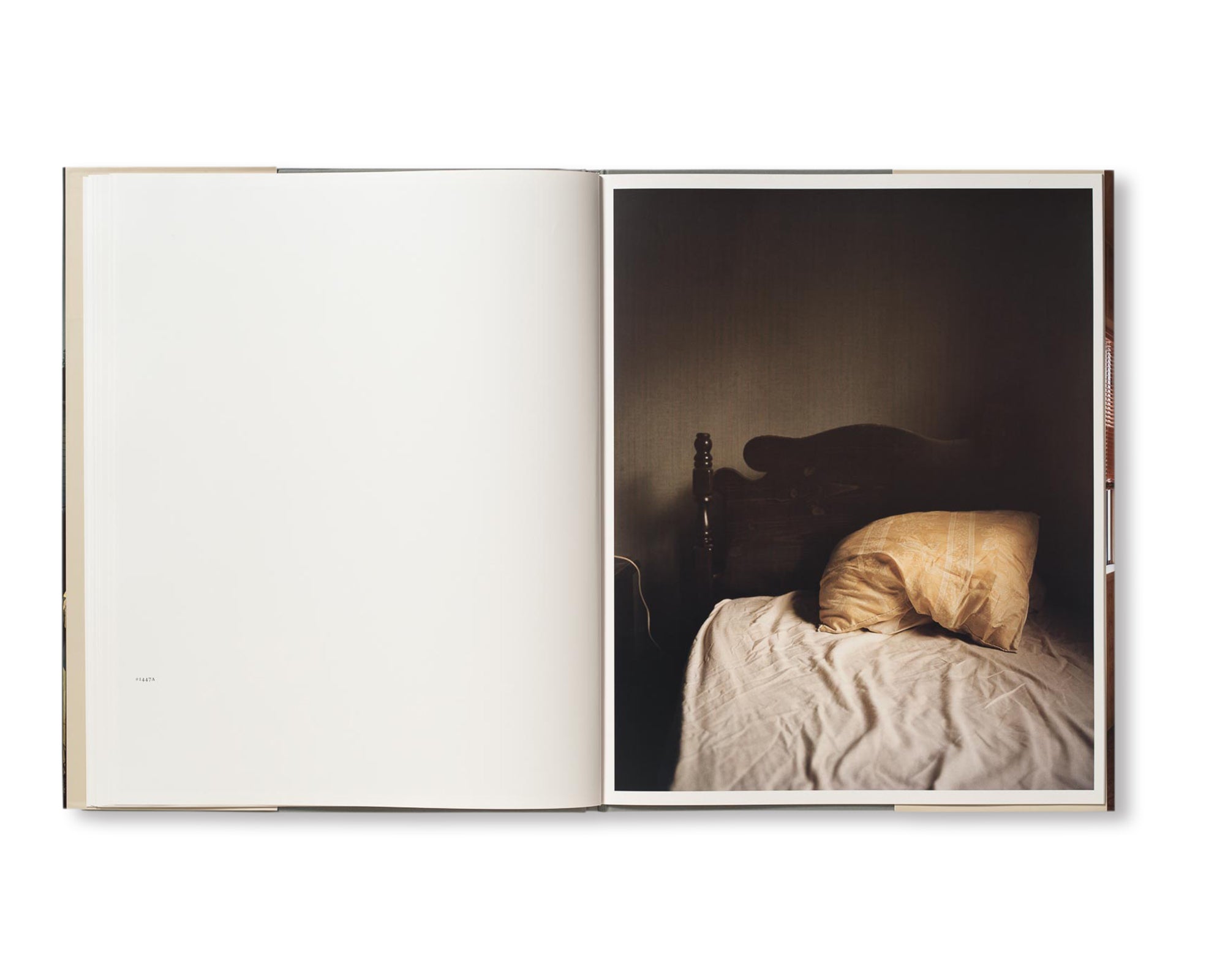 HOUSE HUNTING by Todd Hido