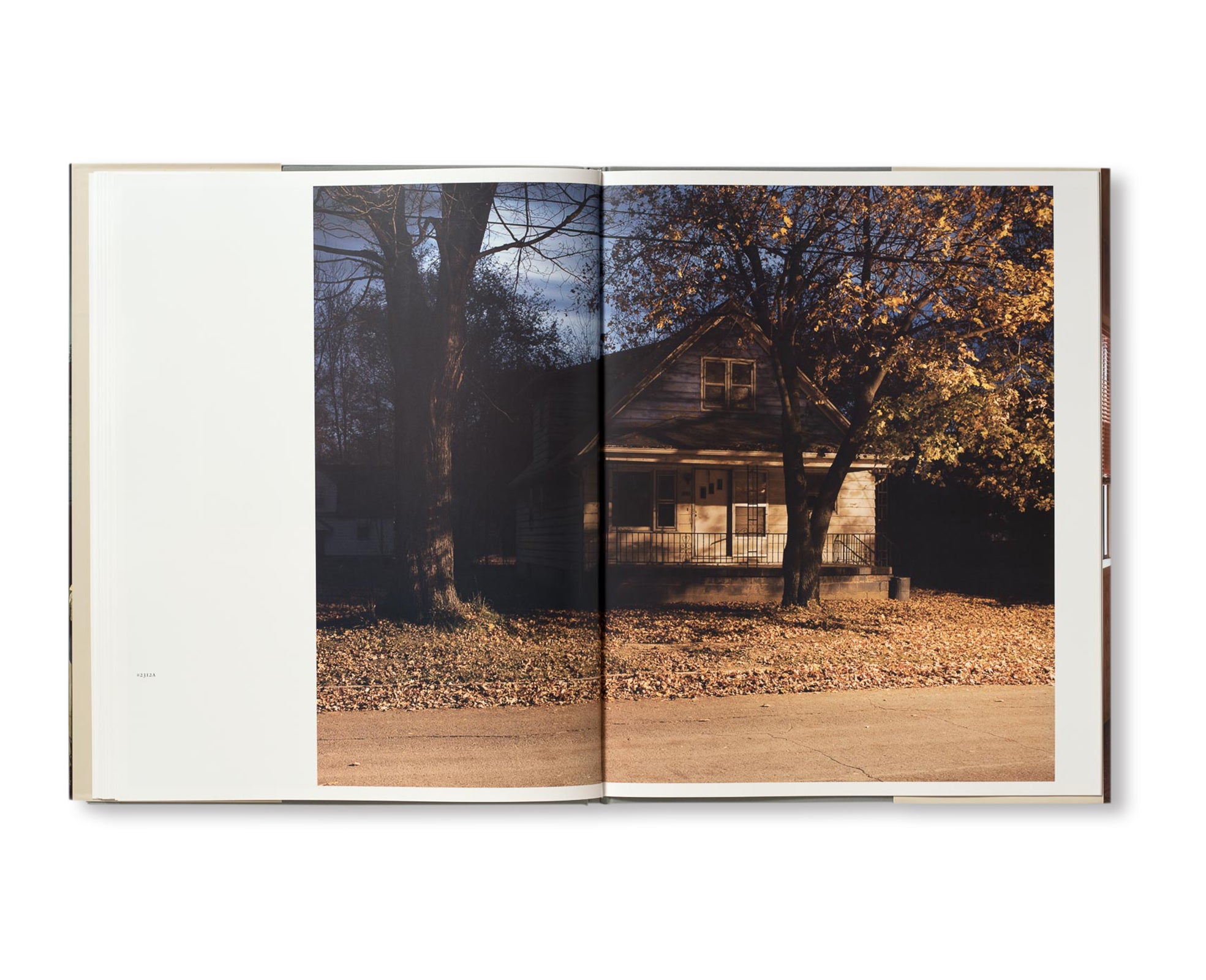 HOUSE HUNTING by Todd Hido