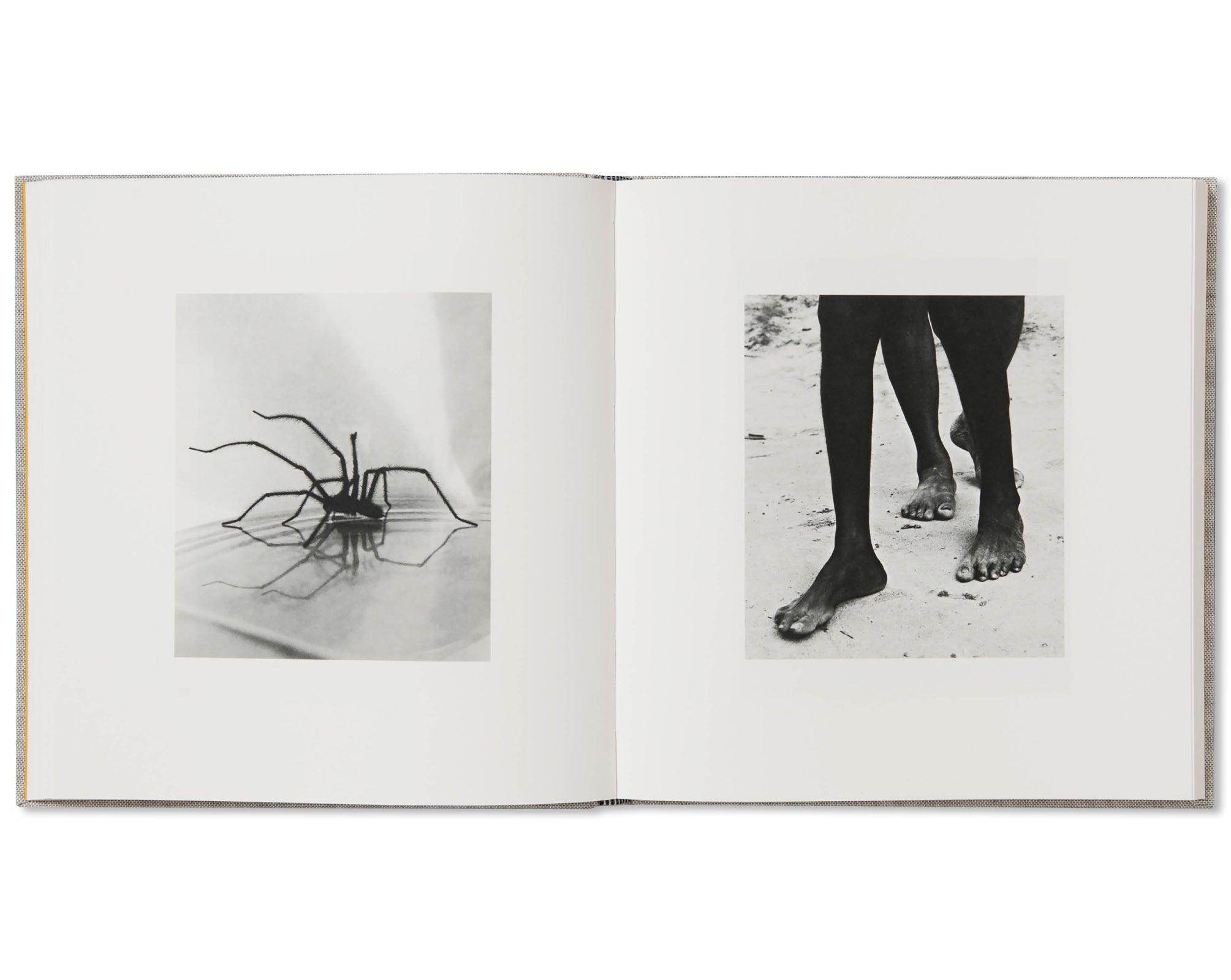 PHOTOGRAPHS by Jack Davison [THIRD EDITION]