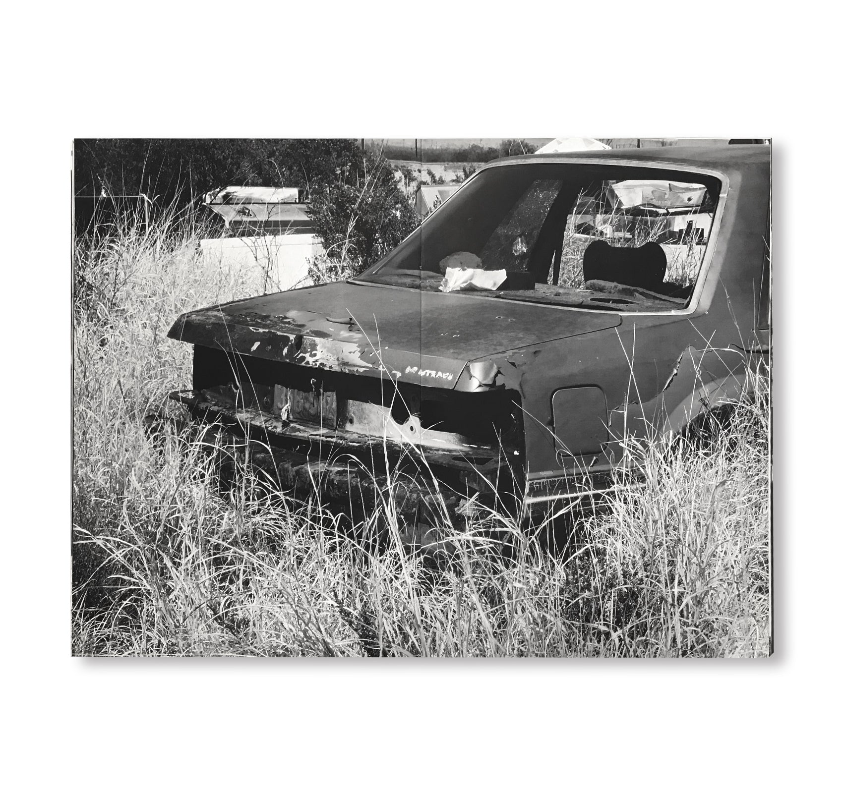 THE INTERNATIONAL #7 - MARFA/CRASH – PARKING ACCIDENTS by Rita Ackermann [SIGNED]