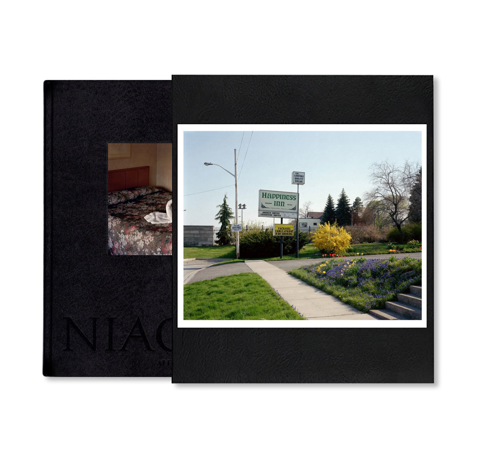 NIAGARA by Alec Soth [SPECIAL EDITION]