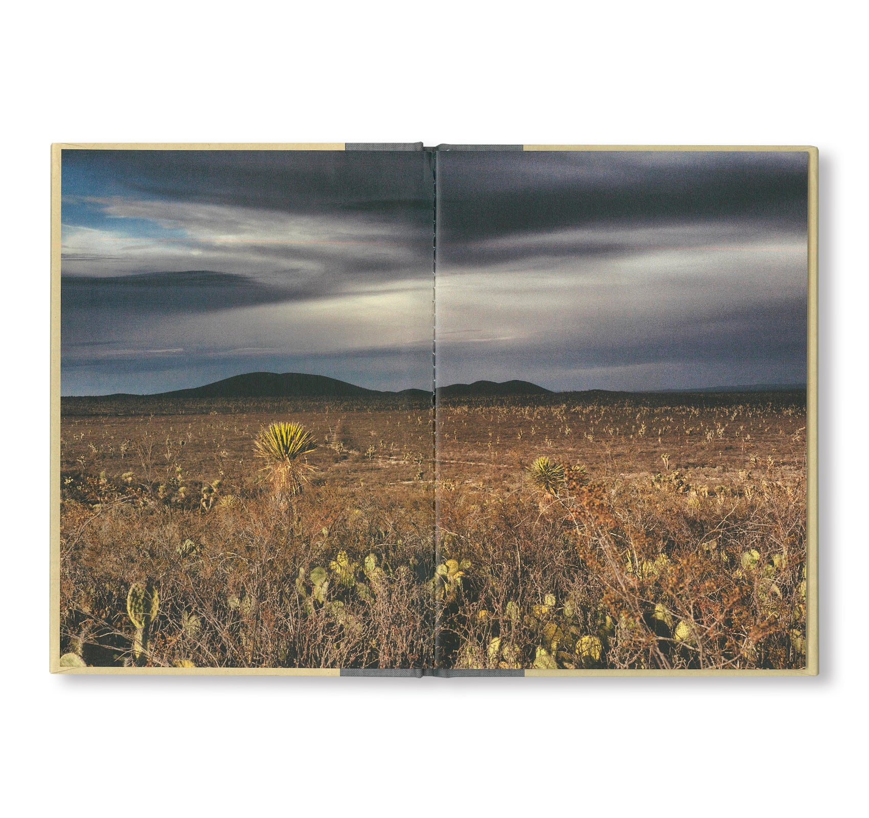 ONE PICTURE BOOK TWO #29: PEYOTE by Pablo Ortiz Monasterio [SPECIAL EDITION]