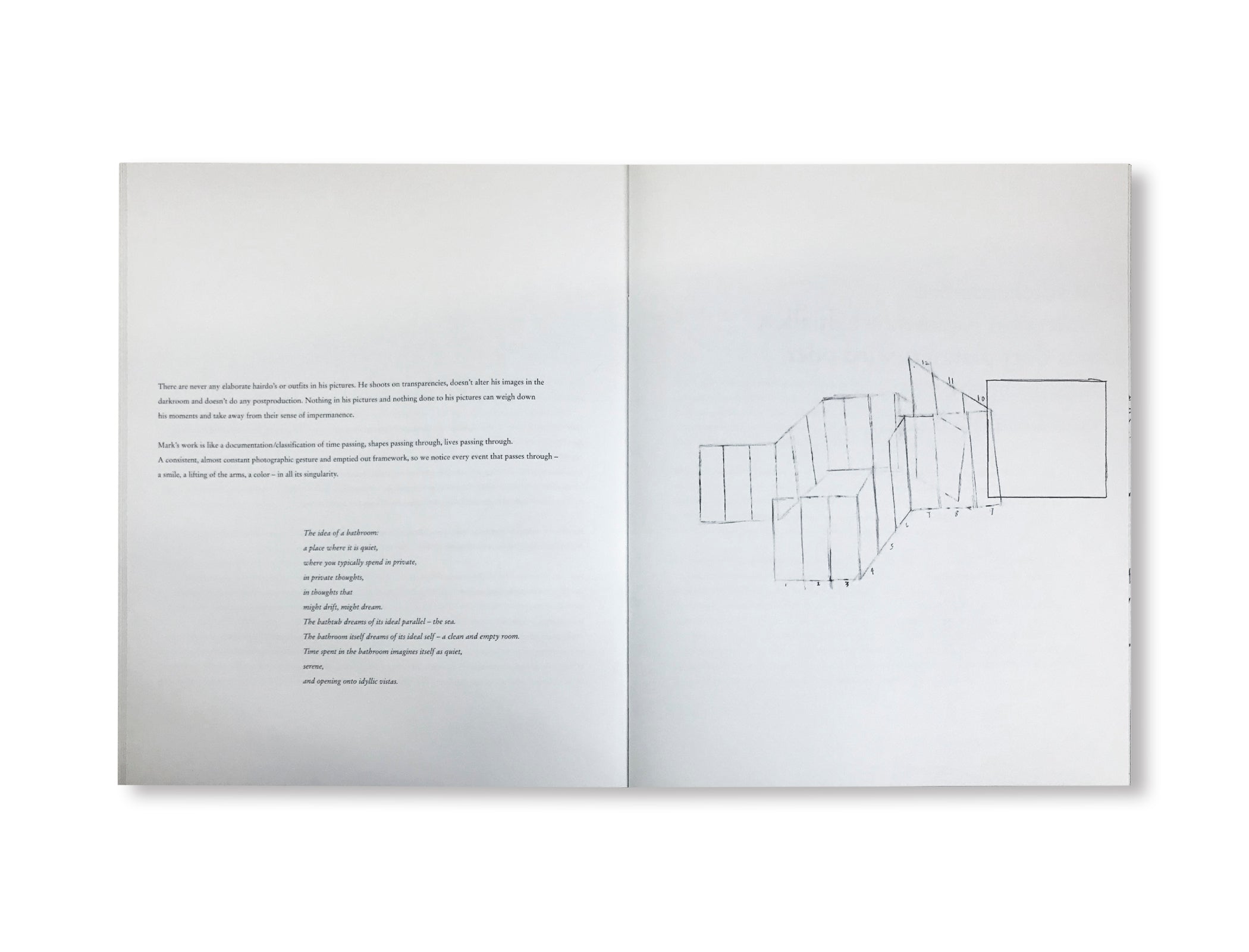 STATEMENTS (SIX) by Rita Ackermann, Mark Borthwick, Nicola Tyson