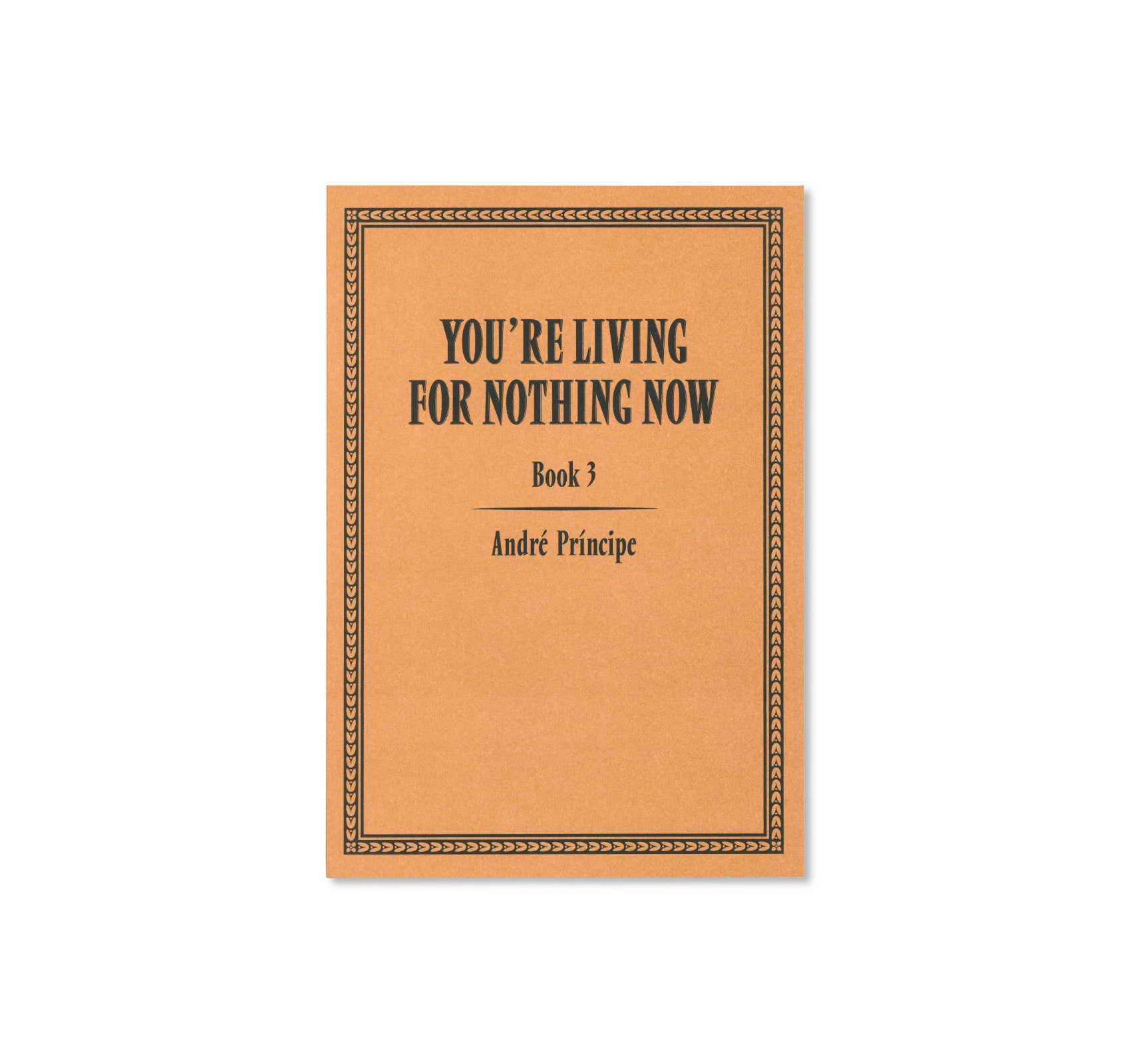 YOU'RE LIVING FOR NOTHING NOW (BOOK 1, 2, 3)  by André Príncipe