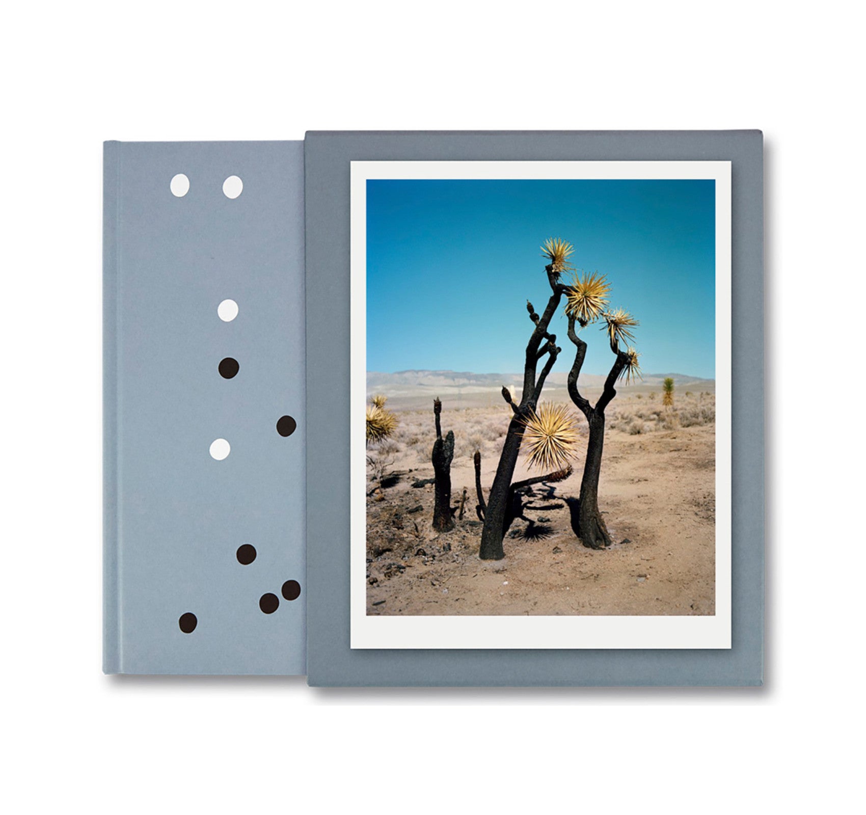 ZZYZX by Gregory Halpern [SPECIAL EDITION (TREE)]